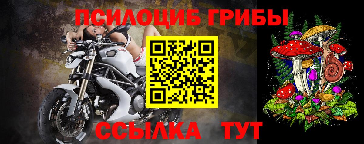 Псилоцибиновые грибы Magic Shrooms  хочу   Светлоград  Вход с VPN  Псилоцибиновые грибы MAGIC MUSHROOMS 